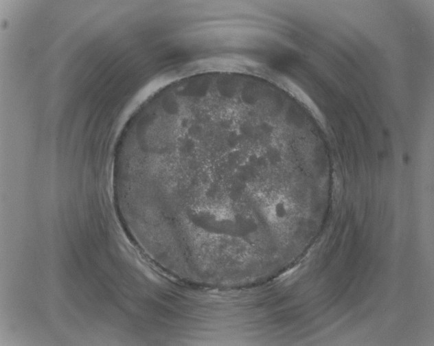 X0000083991035200703021934