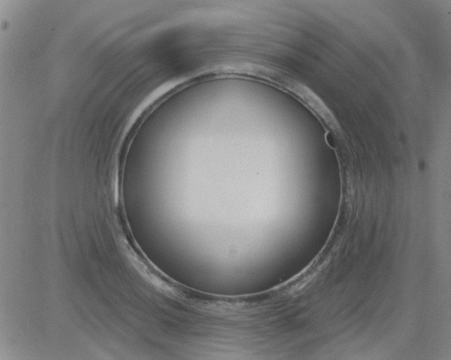 X0000083991036200703021934