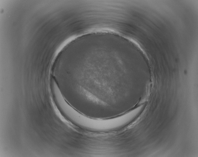 X0000083991038200703021934