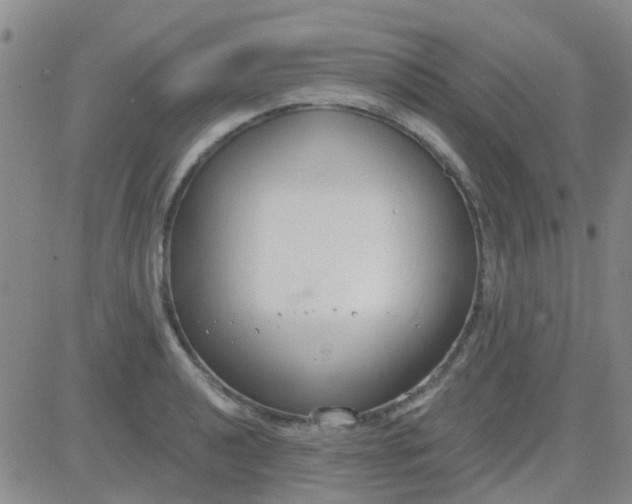 X0000083991040200703021934