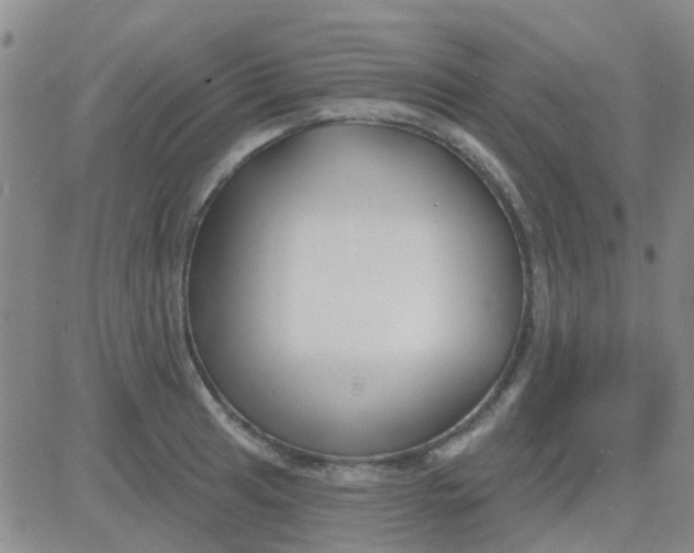 X0000083991041200703021934