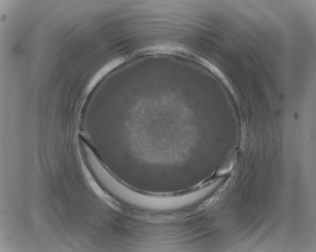 X0000083991042200703021934