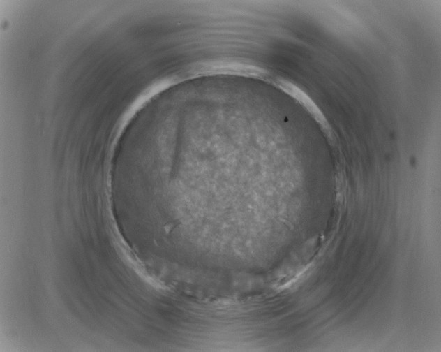 X0000083991043200703021934