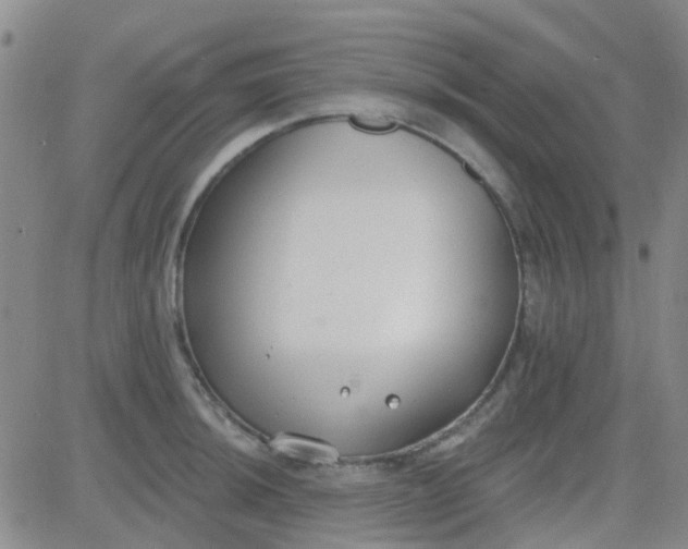 X0000083991044200703021934