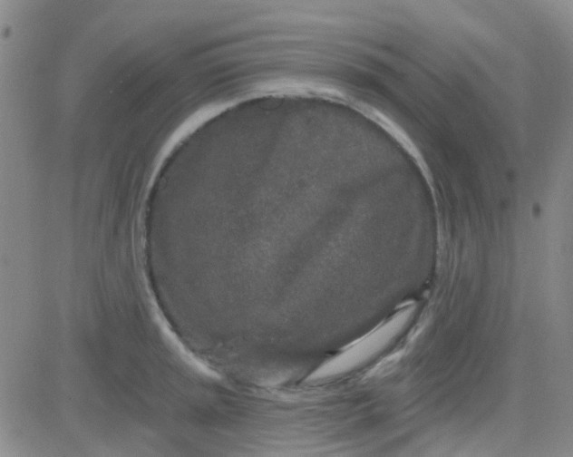 X0000083991045200703021934