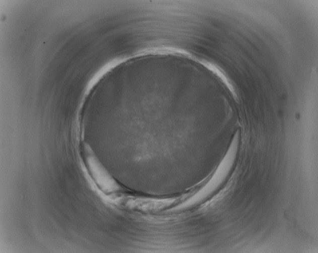 X0000083991046200703021934