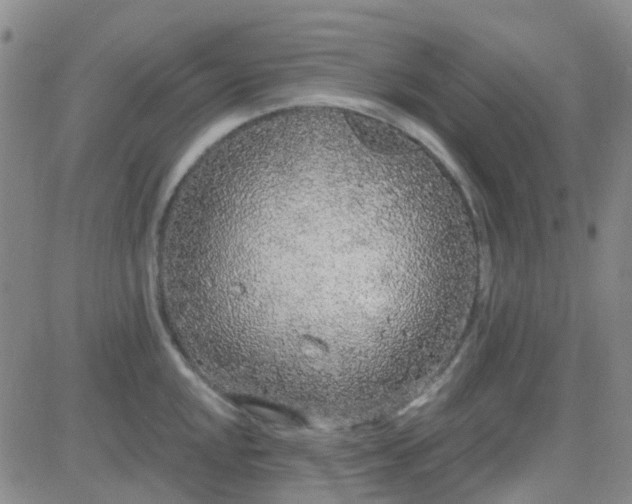 X0000083991048200703021934