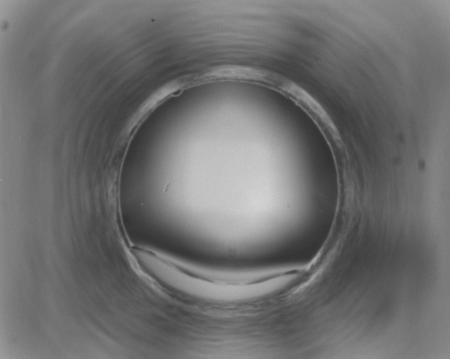 X0000083991049200703021934