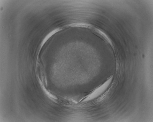 X0000083991050200703021934