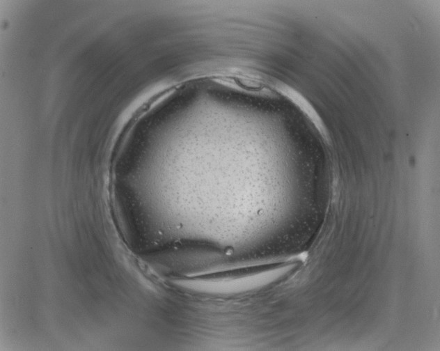 X0000083991051200703021934