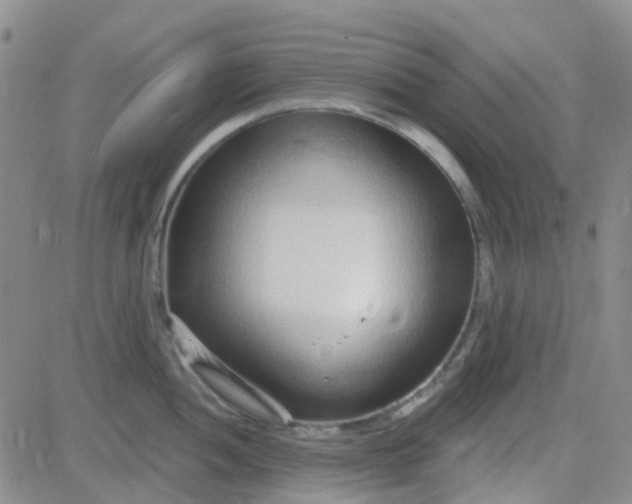 X0000083991052200703021934