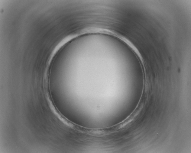 X0000083991053200703021934