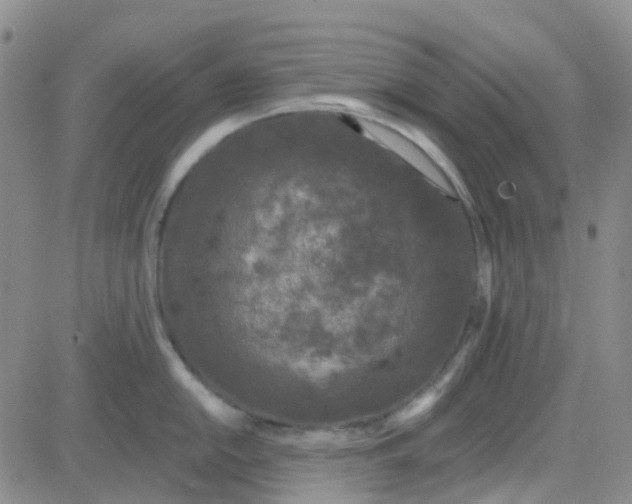 X0000083991054200703021934