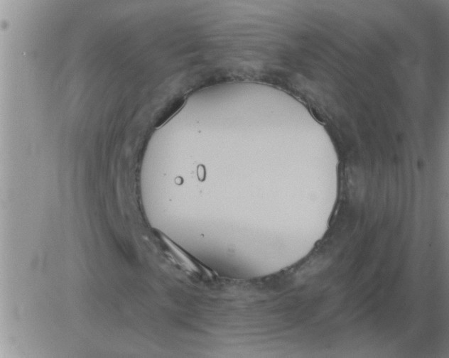 X0000083991057200703021934