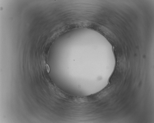 X0000083991058200703021934