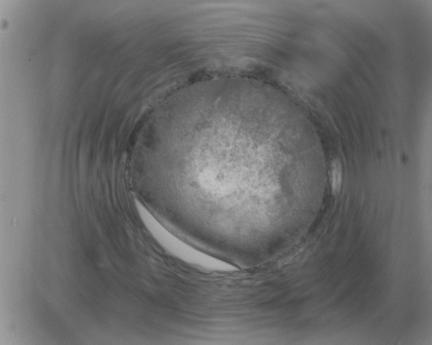 X0000083991059200703021933