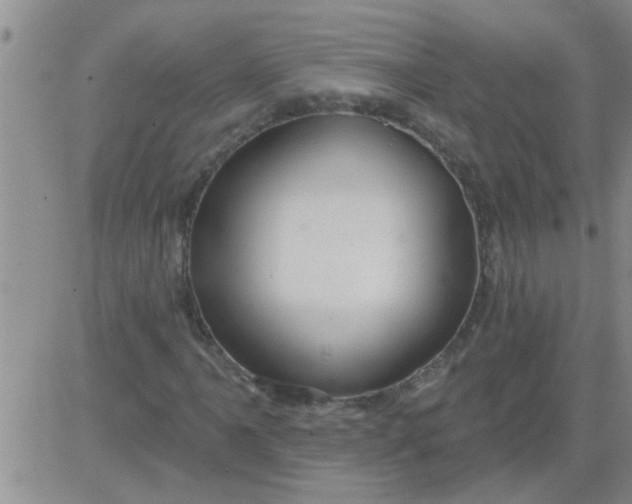 X0000083991061200703021933