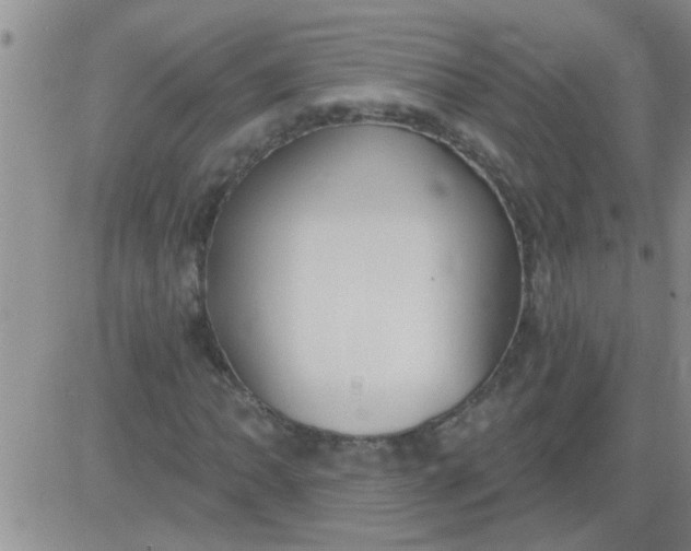 X0000083991062200703021933