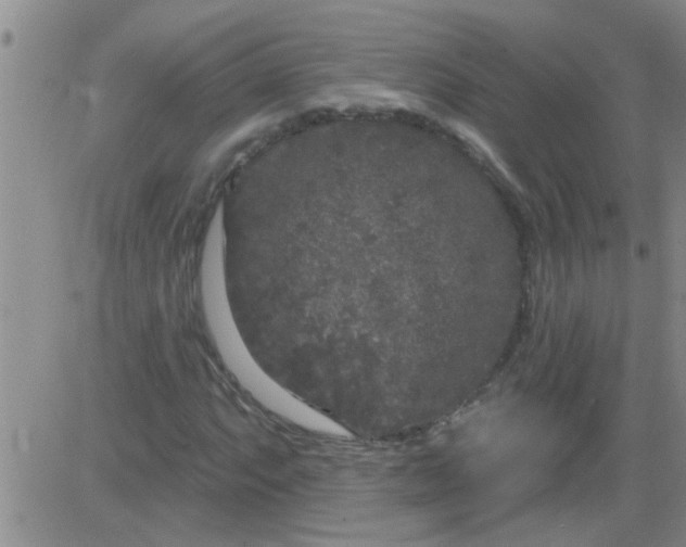 X0000083991063200703021933