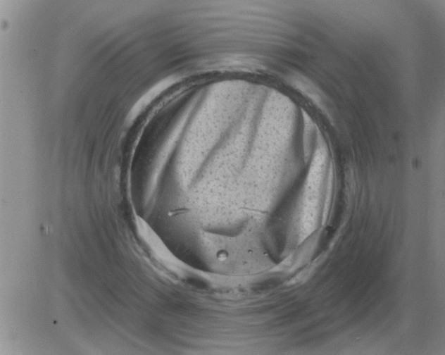 X0000083991066200703021933