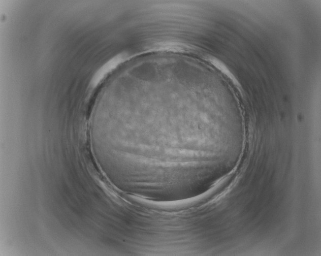 X0000083991067200703021933