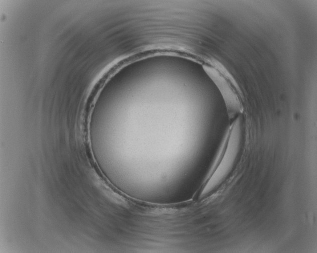 X0000083991068200703021933