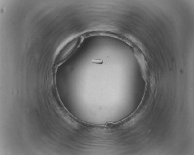 X0000083991069200703021933