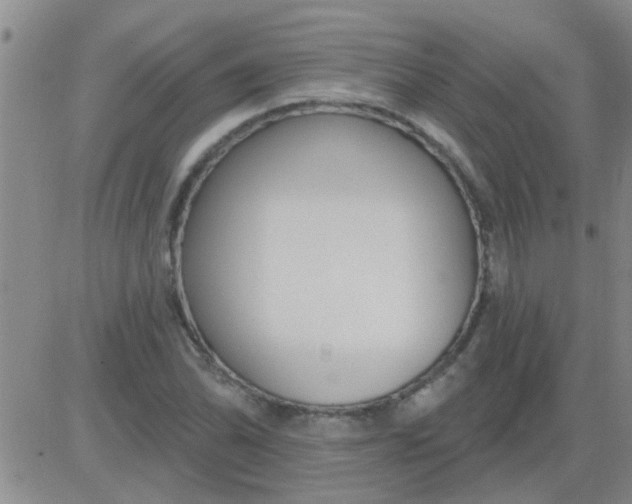 X0000083991070200703021933