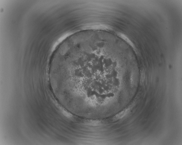 X0000083991071200703021933