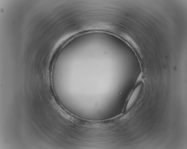 X0000083991072200703021933