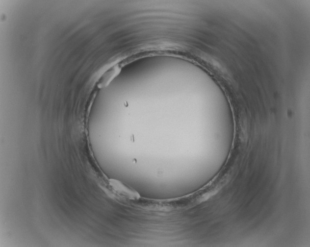 X0000083991073200703021933