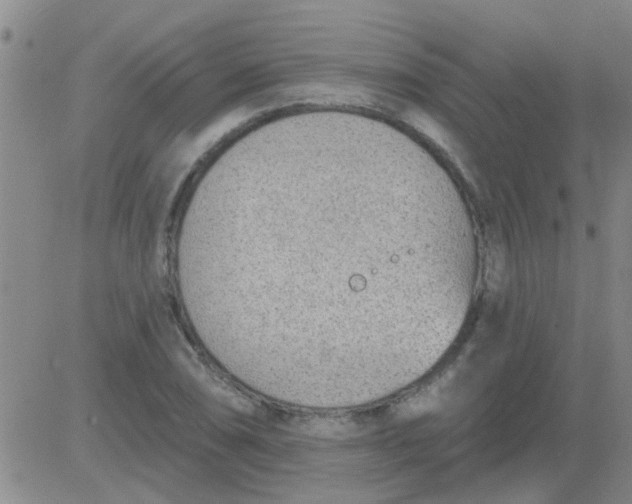 X0000083991074200703021933