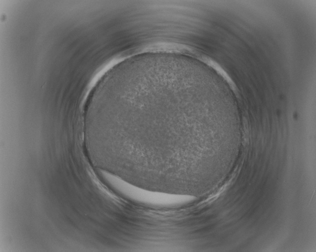 X0000083991075200703021933