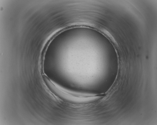 X0000083991076200703021933