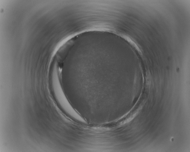 X0000083991077200703021933