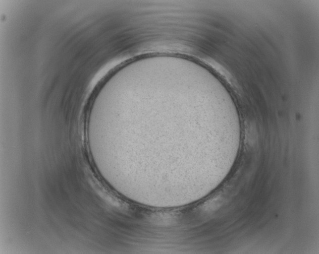 X0000083991078200703021933