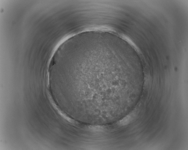 X0000083991079200703021933