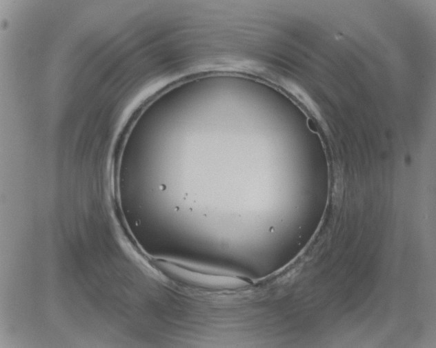 X0000083991080200703021933