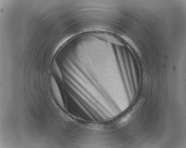 X0000083991081200703021933