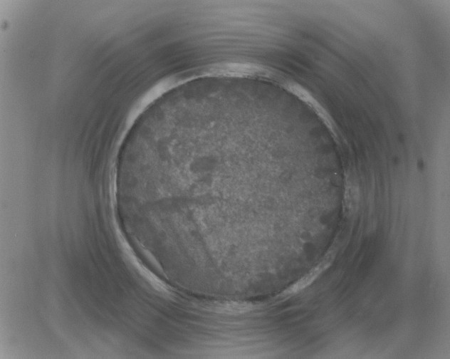 X0000083991083200703021933