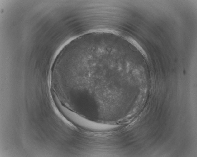 X0000083991084200703021933