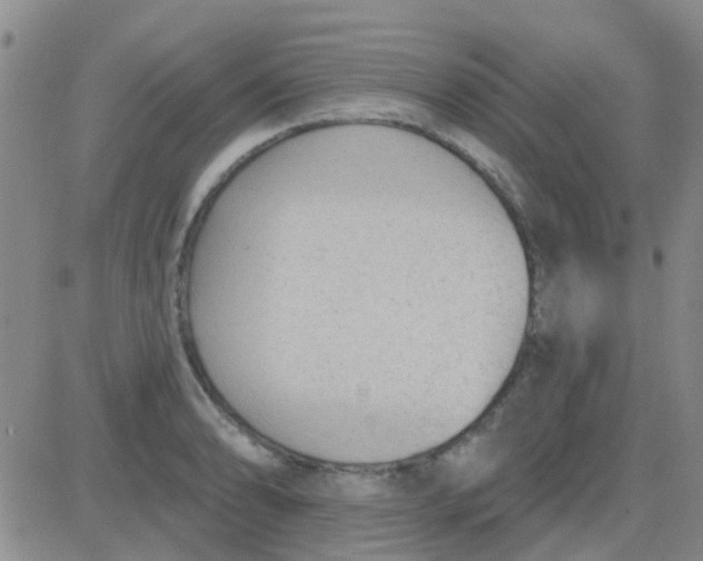 X0000083991086200703021933