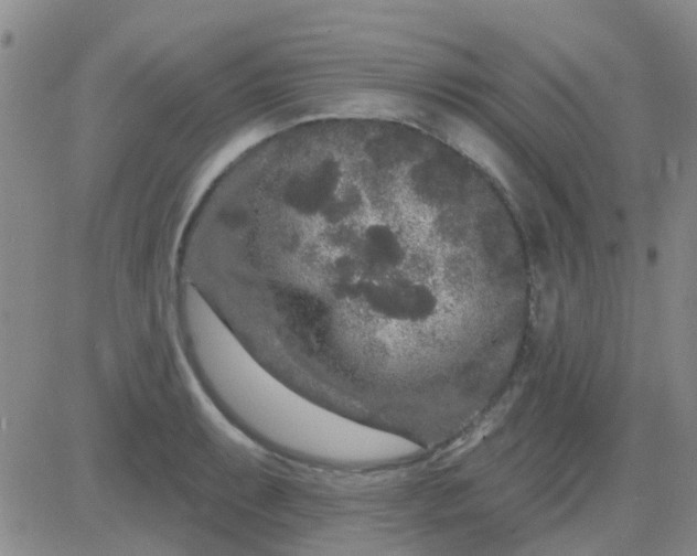 X0000083991087200703021933