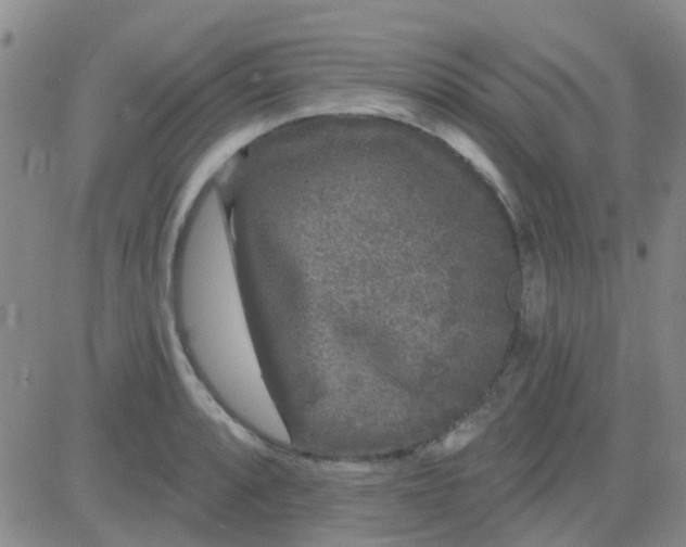 X0000083991088200703021933