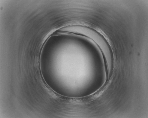 X0000083991089200703021933