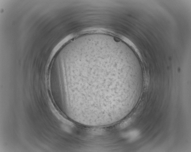 X0000083991090200703021933