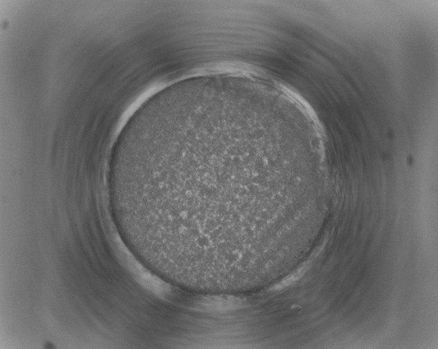 X0000083991091200703021933