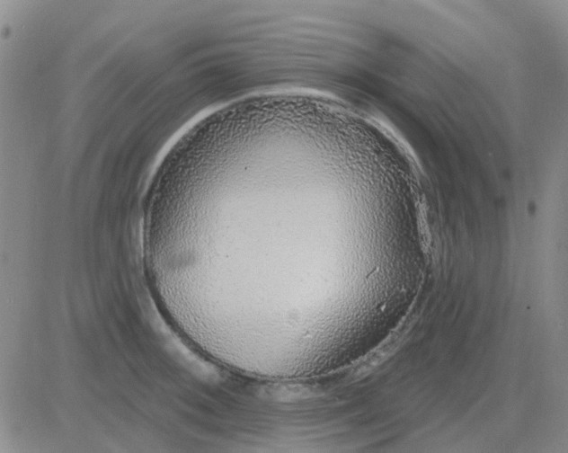 X0000083991092200703021933