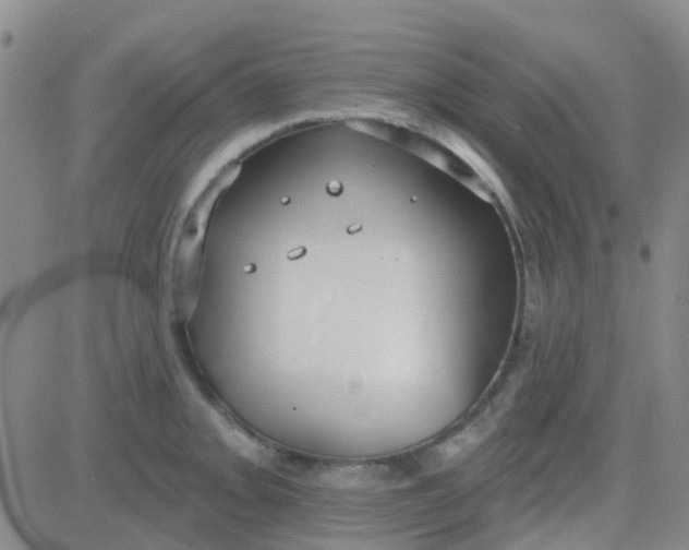 X0000083991093200703021933