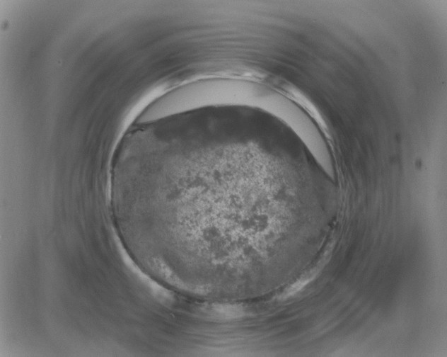 X0000083991095200703021933